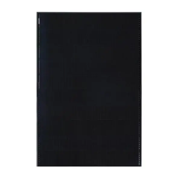 Panou Fotovoltaic Monocristalin Viessmann Vitovolt 300-DG M445W Black Bifacial